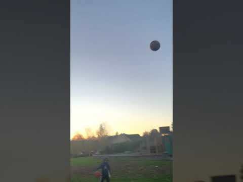 go go hollypark part 2