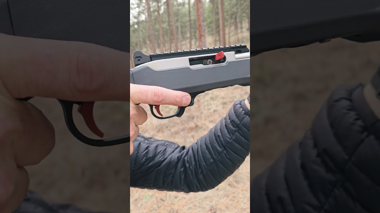 Ruger 10/22 60th Anniversary Edition!