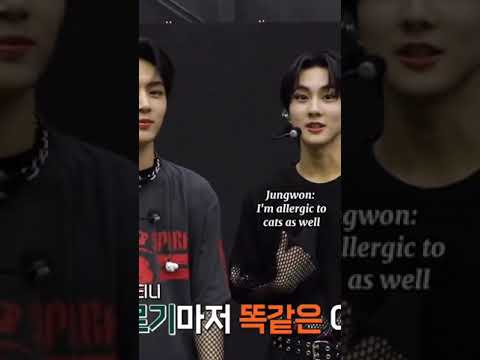 jay: we both look like cat but we're allergic to them, mweowz