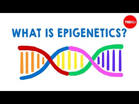 , title : 'What is epigenetics? - Carlos Guerrero-Bosagna'
