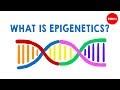 What Is Epigenetics Carlos Guerrero Bosagna