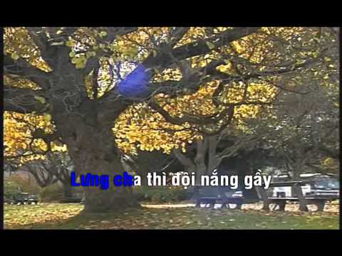Đôi Chân Trần - Ya Suy (Karaoke N. Đức Hưng)