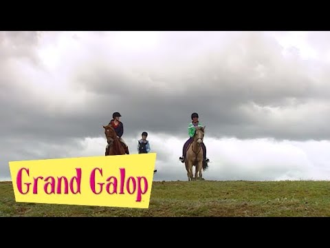 Grand Galop 220 - Un pensionnaire remuant (Partie 2) | HD | Épisode Complet