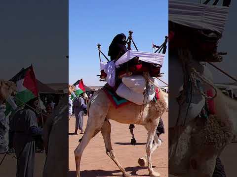 係争中の西サハラ地域