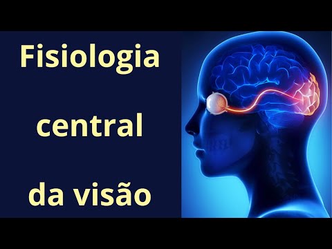 Via óptica e fisiologia central da visão - Fisiologia Humana