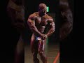 日本最大級の筋肉の祭典 #shorts #筋肉 #japanpro #fwj #野澤show #muscle