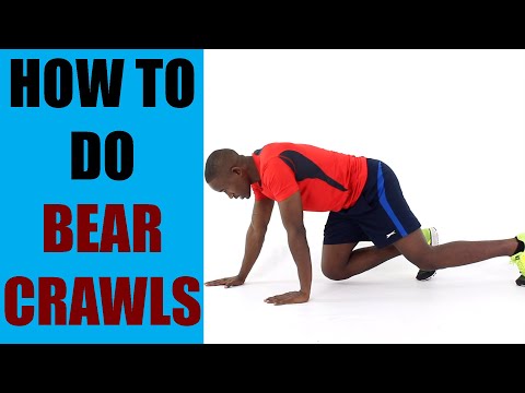 How to Do Plank Ups or Up or Down Planks Exercise of The Day 36