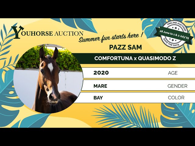 Pazz Sam & Foal Vengaboy