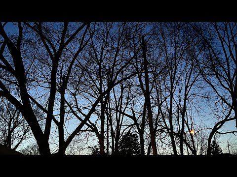 Naiee - El Poder De La Oración (Official Lyrics)