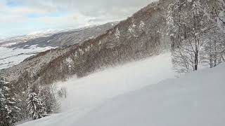 カムイスキーリンクスの薄っすらと降った新雪の朝には、気持ちよく滑れるここがオススメ！(2025/2/19)