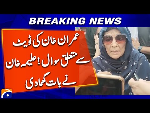 Aleema Khan Strikes Back Over Imran Khan Tweet Controversy | Bold Response | Geo News