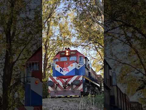 Tren de NCA por Las Junturas