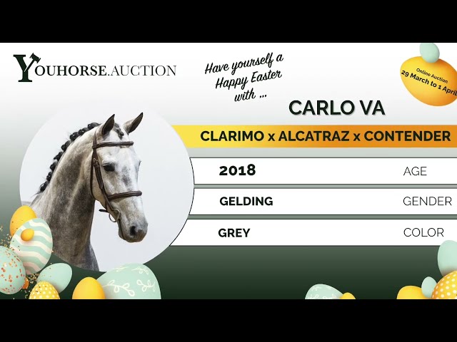 Carlo showvideo March 22