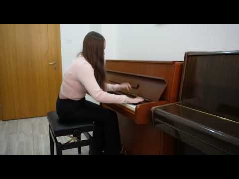 Dragana Kostova - Sibelius
