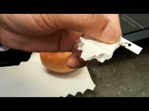 स्याउको वास्तविकता - The reality of apples🍎 || Khagendra Basnet Official || #Vlogs_14