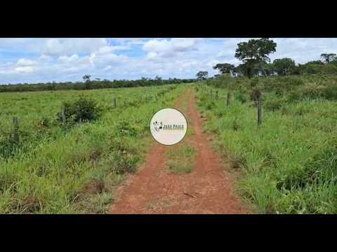 FAZENDA A VENDA EM FLORES-GO - 968 HECTARES - DUPLA APTIDÃO