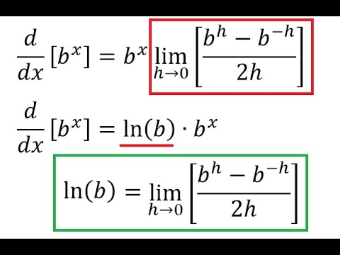 The Scale Factor of an Exponential Function