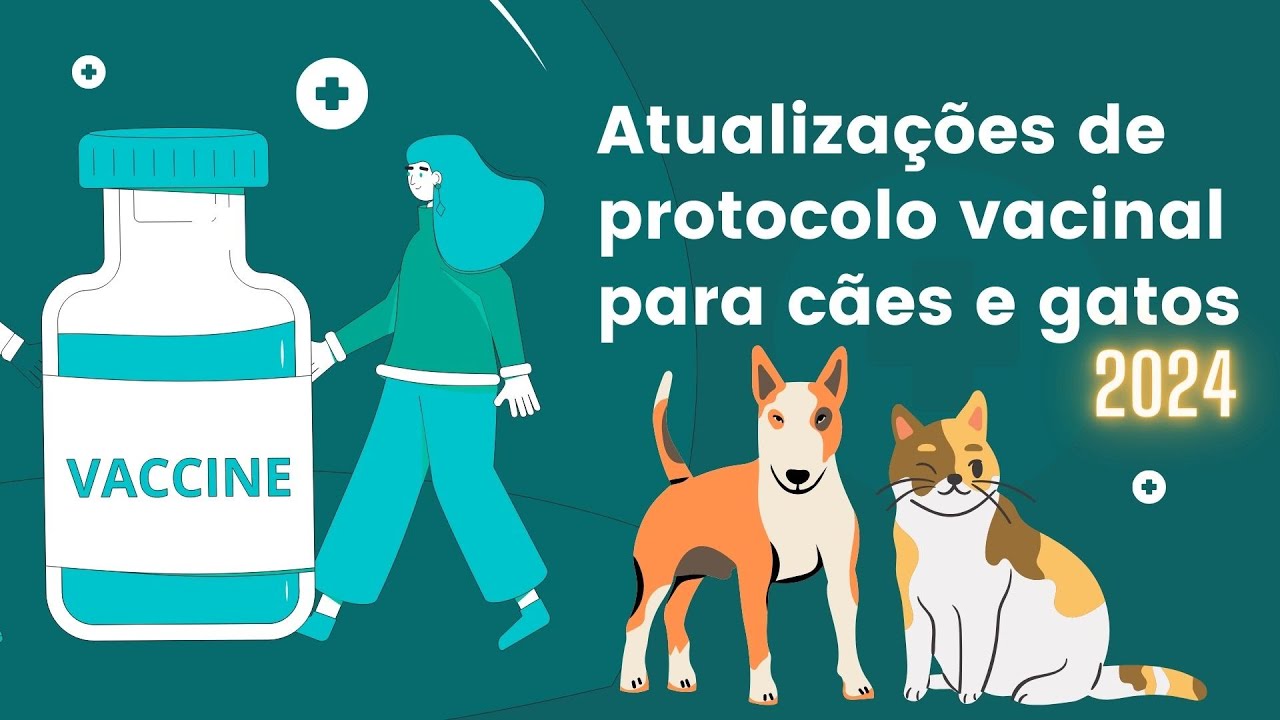 PROTOCOLO #VACINAL CÃES E GATOS 2024. PRECISA VACINAR TODOS OS ANOS MESMO?