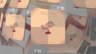 Petri Petro - Syndrome - Original Mix (Bonzai Basiks)