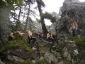 Finsterforst Flammenrausch 