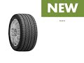 Nexen Padangos Winguard Sport 2 (WU7) 100 V XL (D C B 73dB)