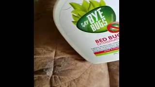 Download lagu A very fast bed bug on sofa killed in seconds mp3
