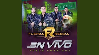 El Fifty Pa Los Gringos Lyrics English Translation