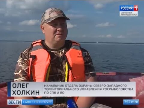 Инспекторы Рыбоохраны следят за соблюдением новых правил рыболовства на Ладоге и в Финском заливе