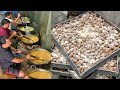 ऐसे बनाया जाता है WORLD S TASTIEST PEDA Since 1864 Duliram Pendawala Vad