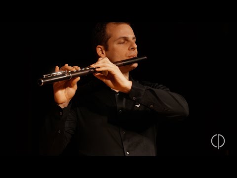 ｾﾊﾞｽﾁｬﾝ･ｼﾞｬｺｰの関連動画 2