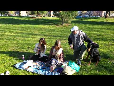 Shamanic drumming with Ace