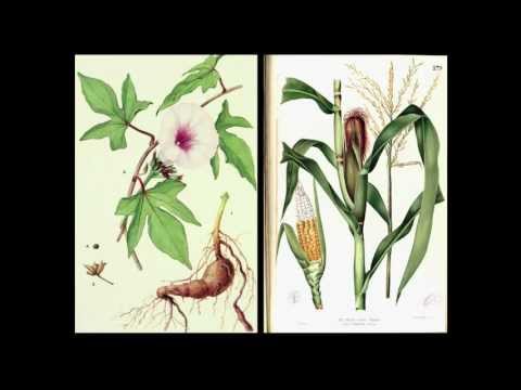 The Chinese Potato Floods: Charles C. Mann, Author of 1493