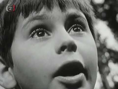 Kamarádi 02 - Na stopě zločinu