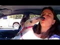 Are Anteaters Affectionate Commonly Asked Questions