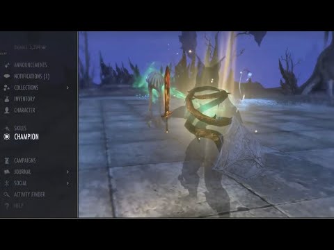 Dual wield stamina warden update 35 PVP build.