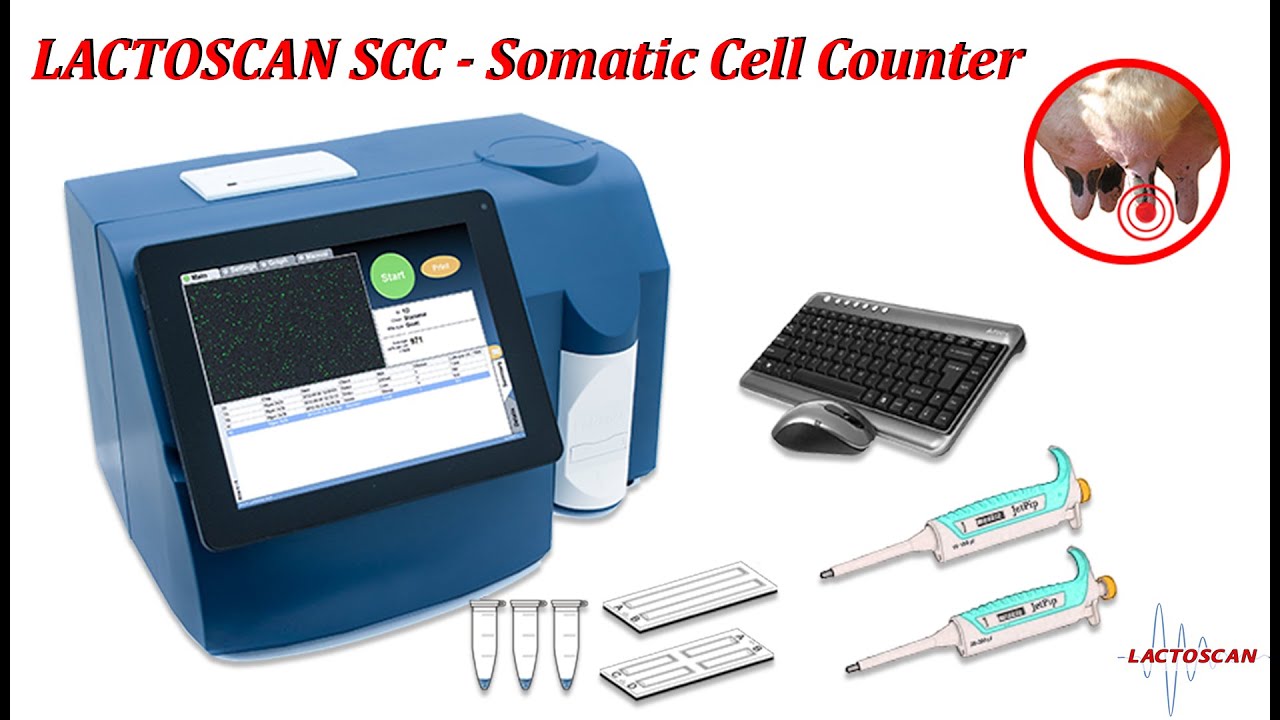 LACTOSCAN SCC - Somatic cell counter