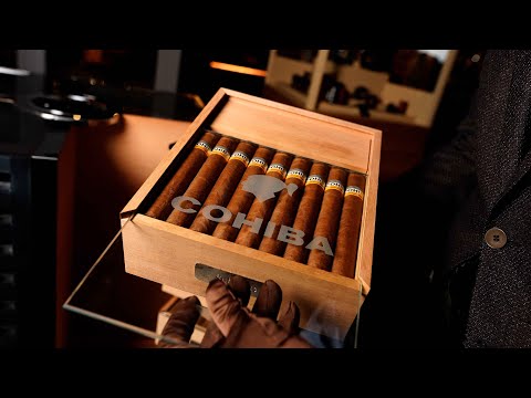 Cohiba Subasta Humidor 2008