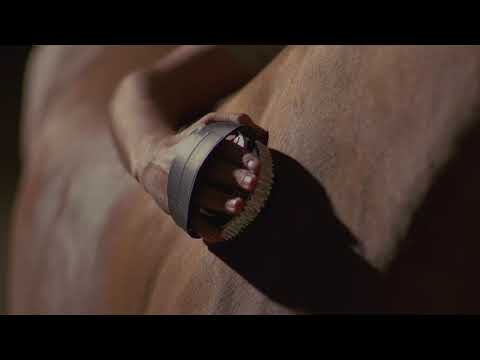 Kuran Filmleri - Surja Nexhm