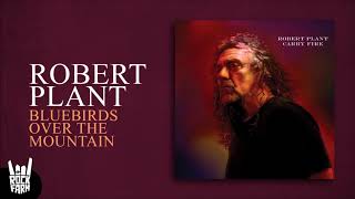 Robert Plant - Bluebirds Over The Mountain