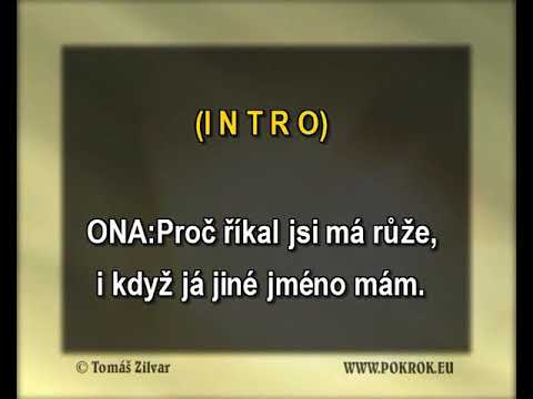 Divoká růže - Václav Noid Bárta, Emma Smetana, ukázka Karaoke, instrumental z www.svetkaraoke.cz