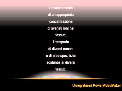 Dolore dietro lorecchio e al collo per fare Che deve essere assunto con un forte dolore