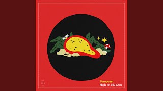 Tempesst - High On My Own video