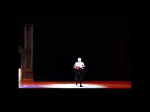 Carlo COLOMBARA - Don Giovanni - Serenata - China Tour 2017