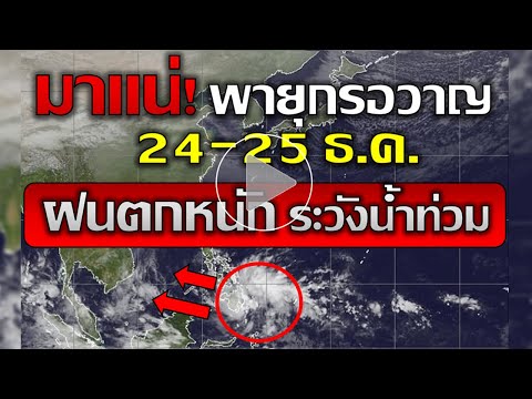 ข่าว tesla
