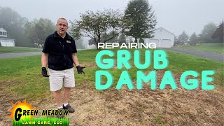 How to Repair Grub Damage in Your Lawn