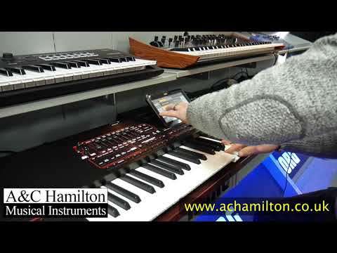 Korg PA4X Version 3 (V3) Demo - A&C Hamilton
