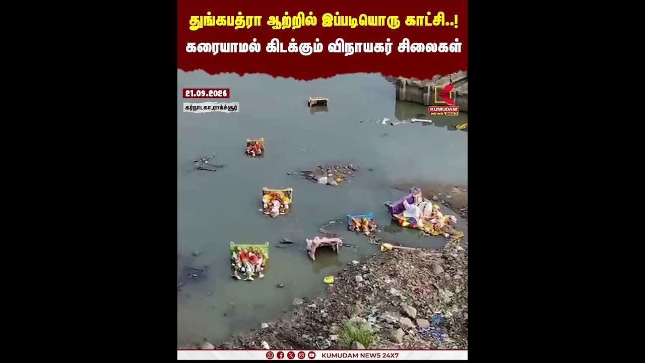 ஆற்றுக்குள் கரையாமல் கிடக்கும் விநாயகர் சிலைகள்! | Karnataka | Raichur | Vinayagar Chaturthi #shorts