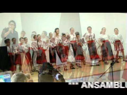 Prezentare Trestioara