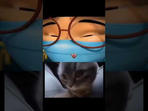 the mask💀 #cat #funny #memes #explore #music #shorts