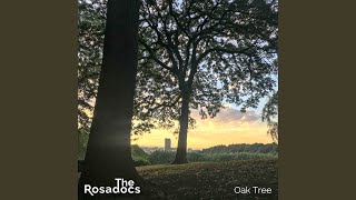 Oak Tree